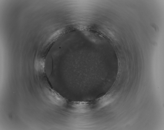 X0000111800288200908061205