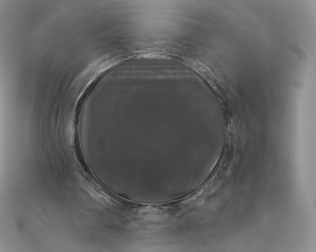 X0000111800290200908061204