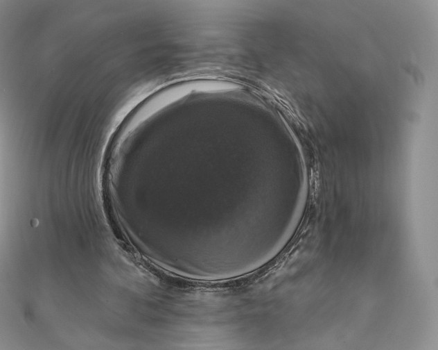 X0000111800292200908061204