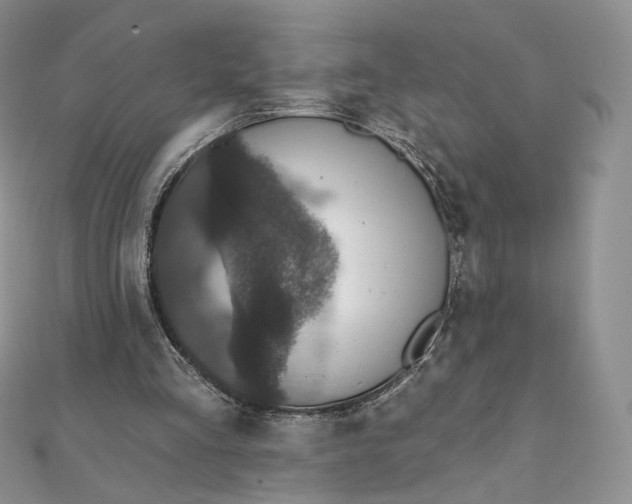 X0000111800293200908061204