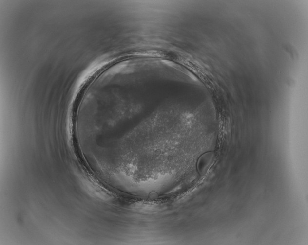 X0000111800294200908061204