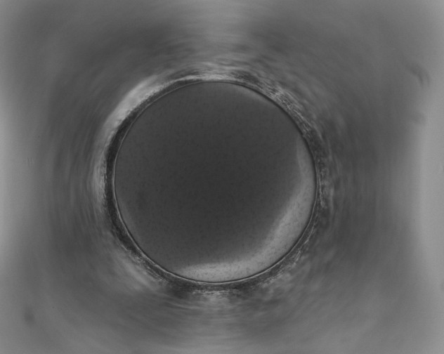 X0000111800295200908061204