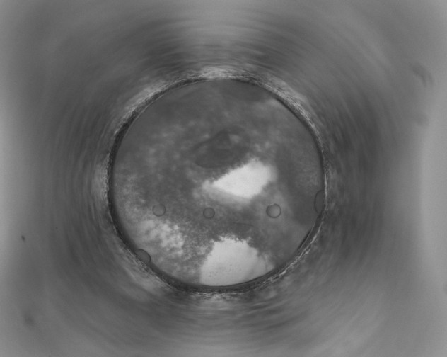 X0000111800297200908061204