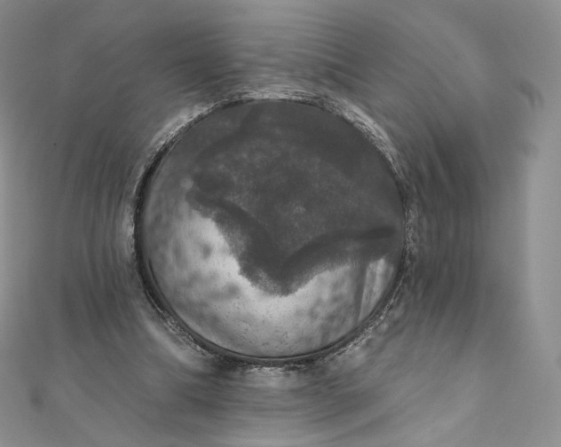 X0000111800298200908061204