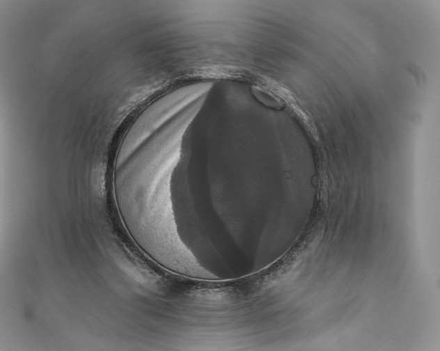 X0000111800299200908061204