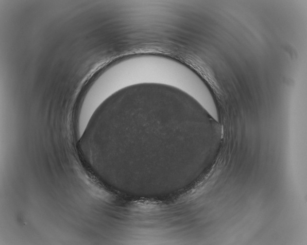 X0000111800300200908061204