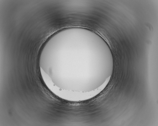 X0000111800301200908061204