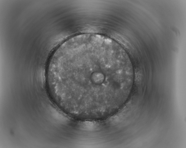 X0000111800302200908061204