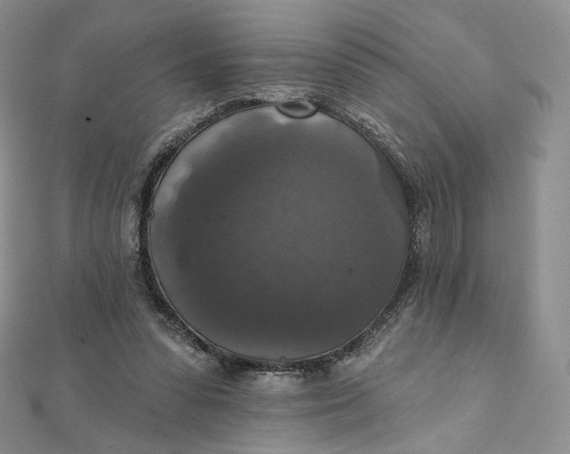 X0000111800303200908061204