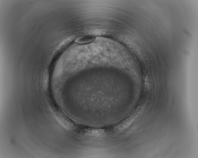 X0000111800304200908061204