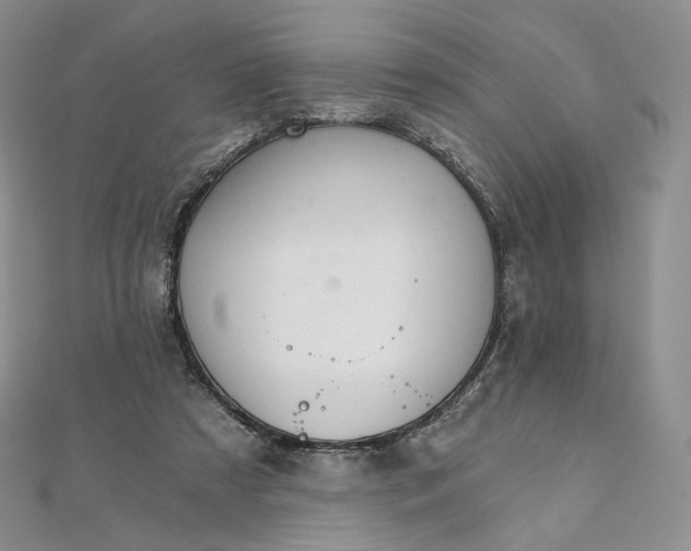 X0000111800305200908061204