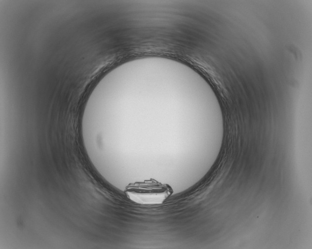 X0000111800308200908061204