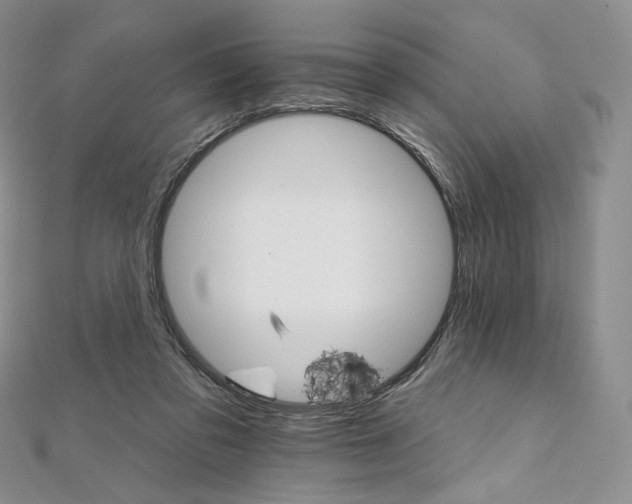 X0000111800309200908061204