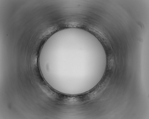 X0000111800310200908061204