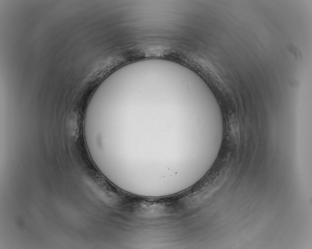 X0000111800311200908061204