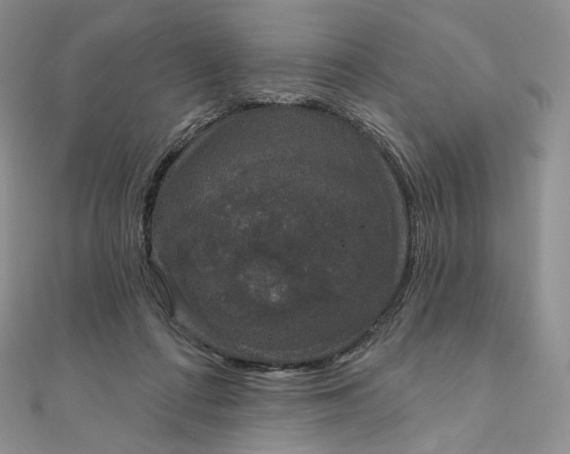 X0000111800312200908061204