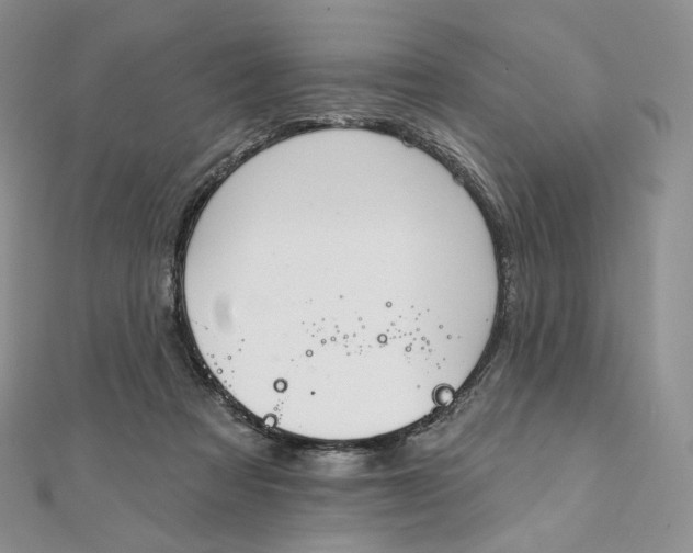 X0000111800313200908061204