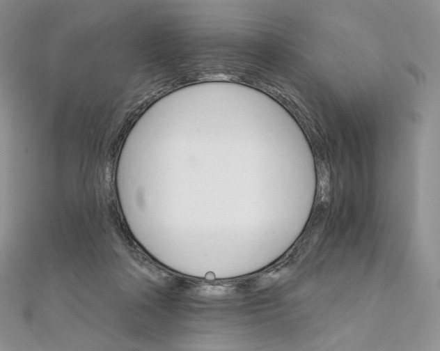 X0000111800314200908061204