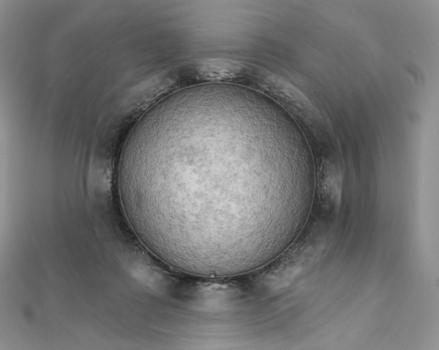 X0000111800315200908061204