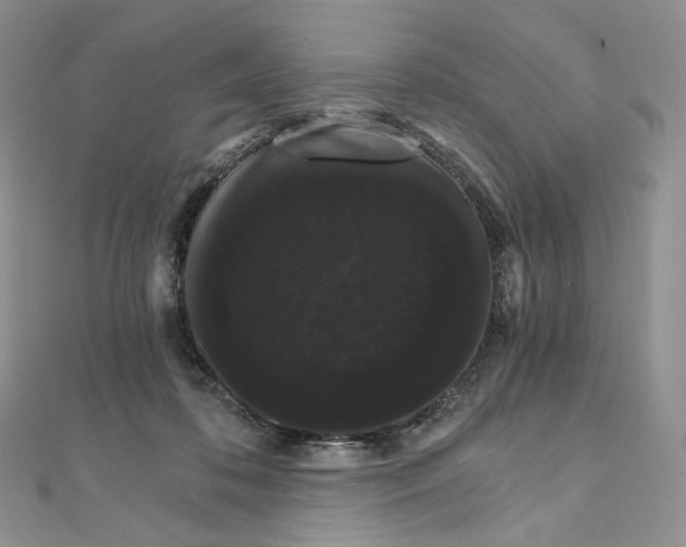 X0000111800316200908061204