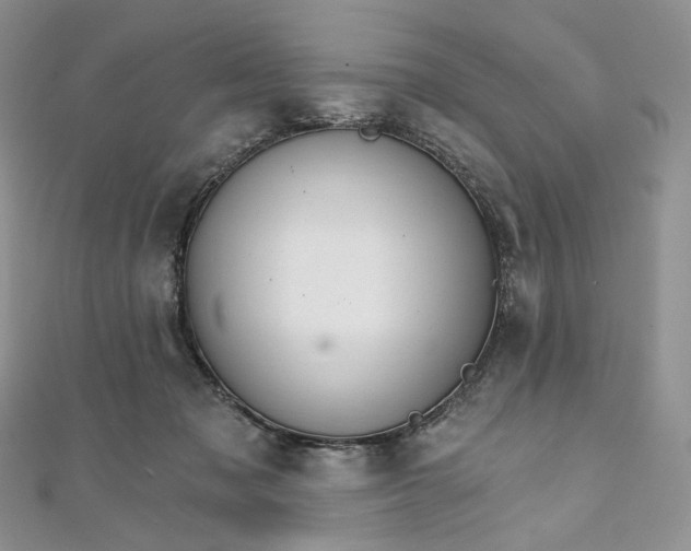 X0000111800317200908061204