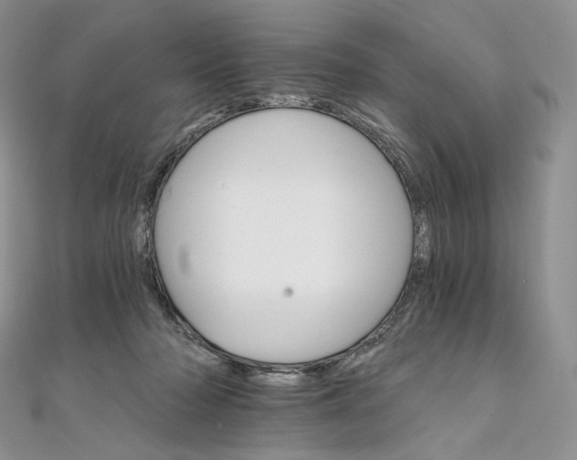X0000111800318200908061204