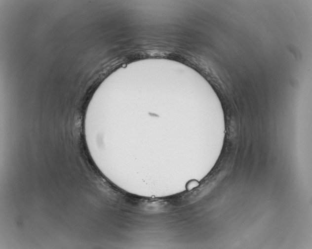 X0000111800321200908061204