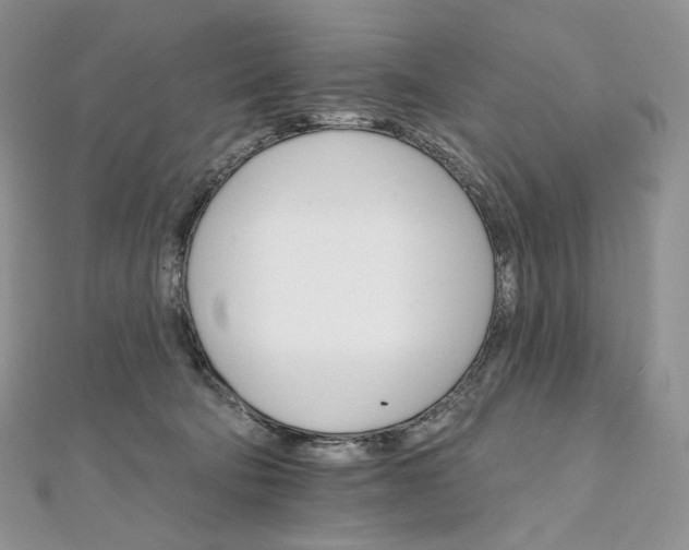 X0000111800322200908061204