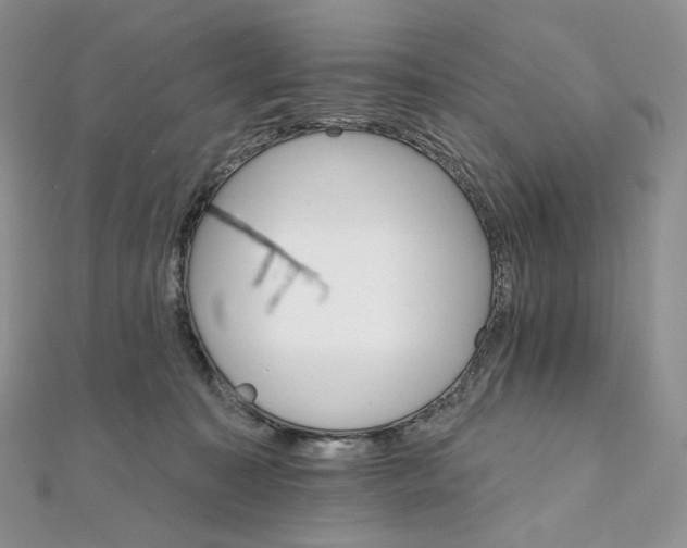X0000111800323200908061204