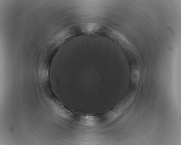 X0000111800324200908061204