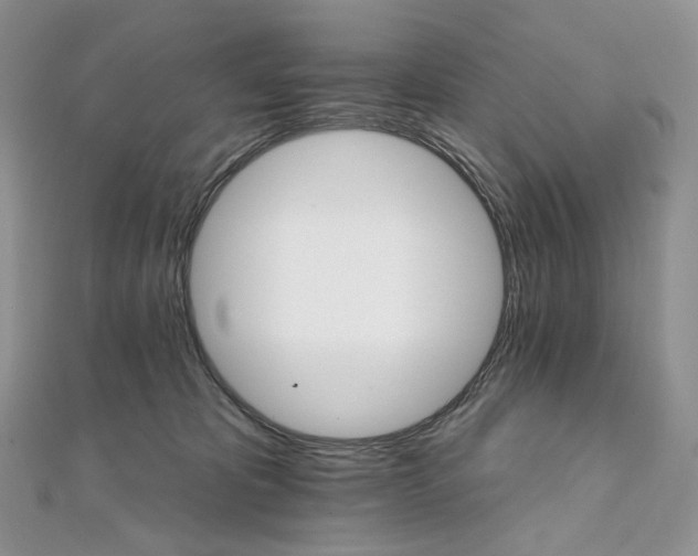 X0000111800325200908061204