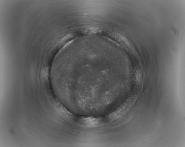X0000111800326200908061204