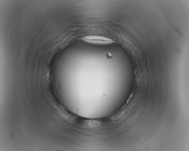 X0000111800327200908061204