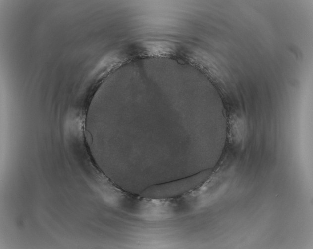 X0000111800329200908061204