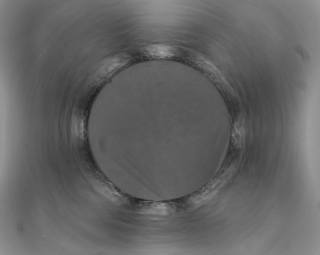 X0000111800330200908061204