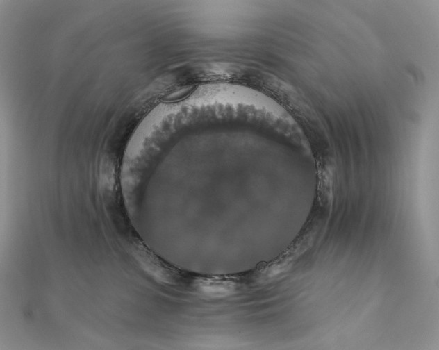 X0000111800331200908061204