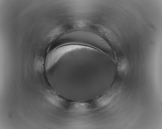 X0000111800332200908061204