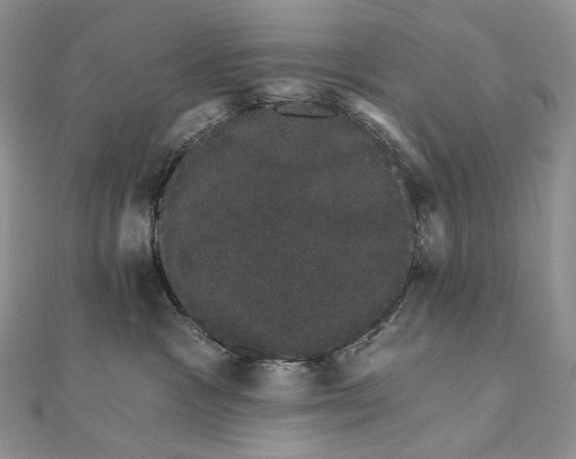 X0000111800333200908061204