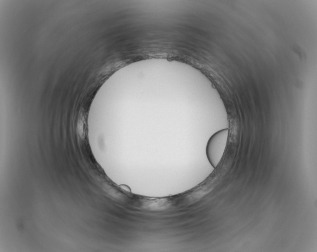 X0000111800334200908061204