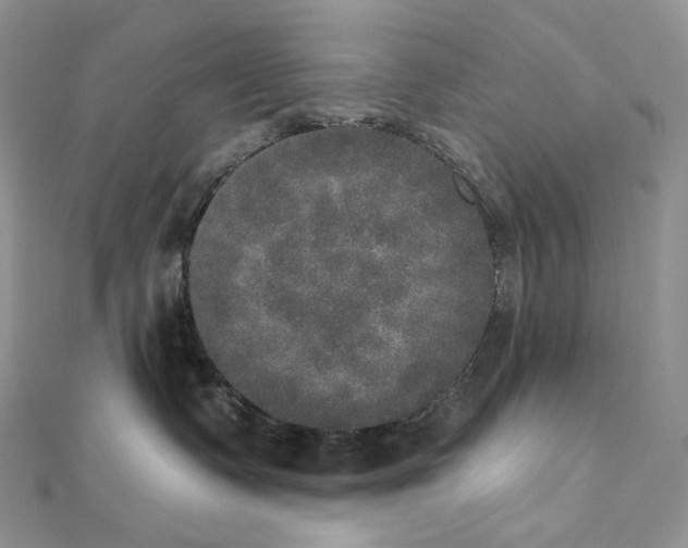 X0000111800335200908061204
