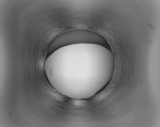 X0000111800336200908061204