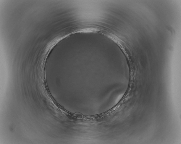 X0000111800337200908061203