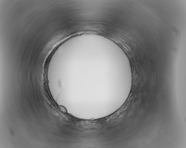 X0000111800338200908061203