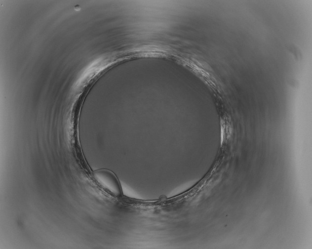 X0000111800339200908061203