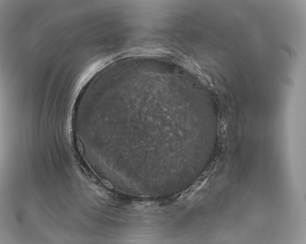 X0000111800340200908061203