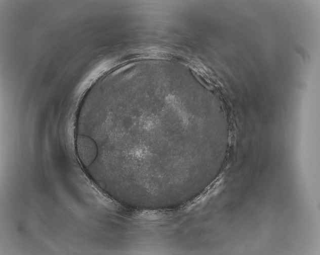 X0000111800341200908061203