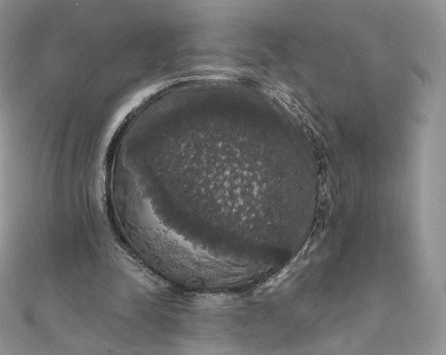 X0000111800342200908061203