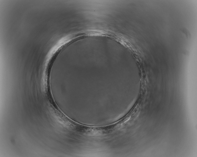 X0000111800343200908061203