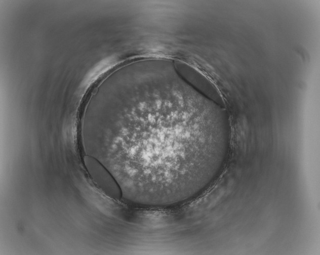 X0000111800344200908061203