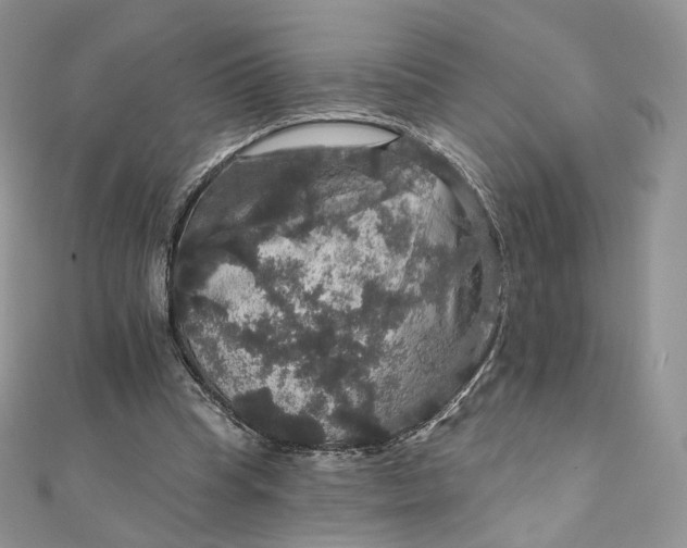 X0000111800345200908061203